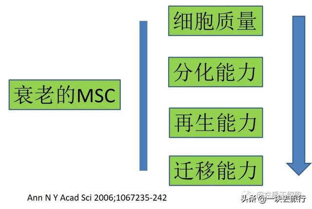 间充质干细胞MSC的功能特性和临床挑战