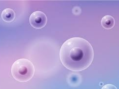 干细胞储存：未来健康的保障