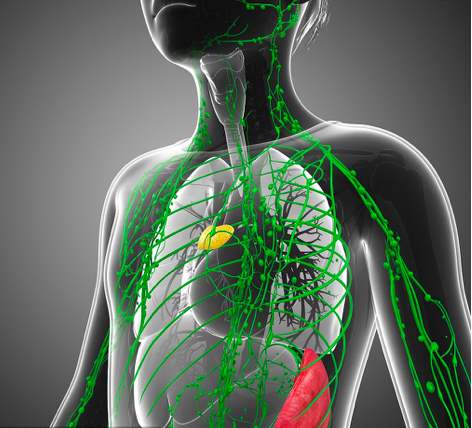 淋巴排毒真的太重要了！淋巴通，百病消