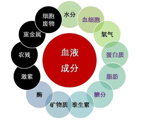 重金属为什么会影响生育力？螯合结合干细胞治