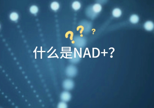 微信截图_20250523150501.png