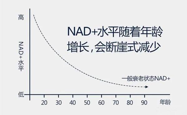 下载.jpg