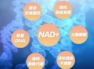 微信截图_20250612173527.png