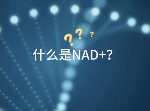 微信截图_20250627145052.png