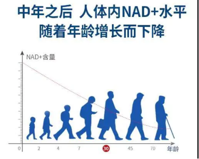 t0484113bcffa24ab92.png