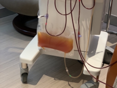 DFPP血液净化：清除身体中的有害物质