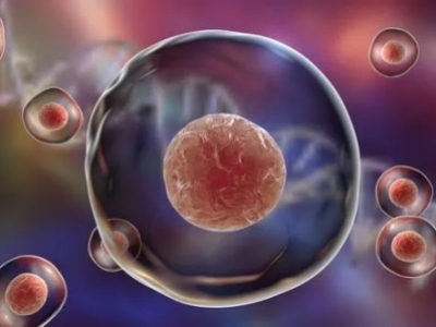 脐带血干细胞储存，为宝宝未来预留一份保障