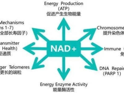 NAD+：拯救你的年轻与活力