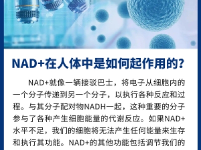 NAD+在人体中是如何起作用的?