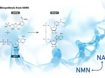 风很大的NAD+，到底多少钱？