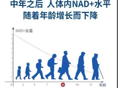 NAD+热度飙升，这几点别忽视！