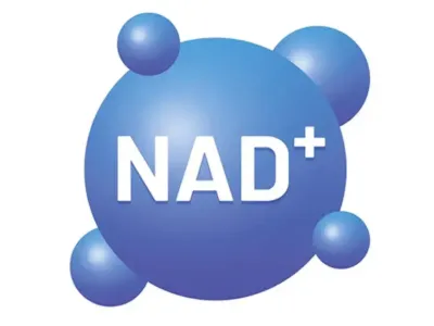 NAD+下降的信号你察觉了吗？