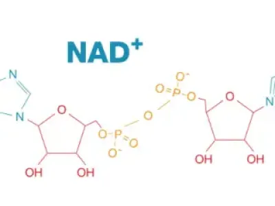 NAD⁺产品市场乱象，如何避坑？