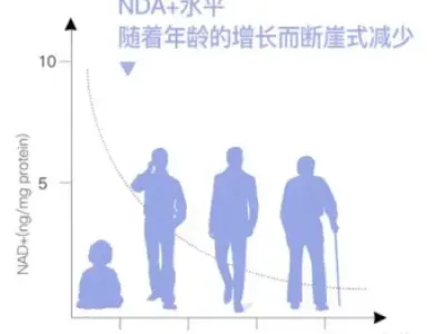 曼谷NAD⁺点滴，价格到底贵不贵？