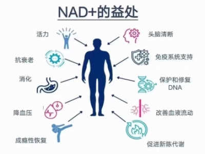 曼谷NAD⁺点滴疗程避坑指南