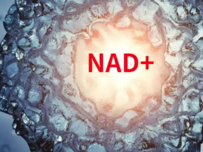 为什么有时不急着补NAD⁺？