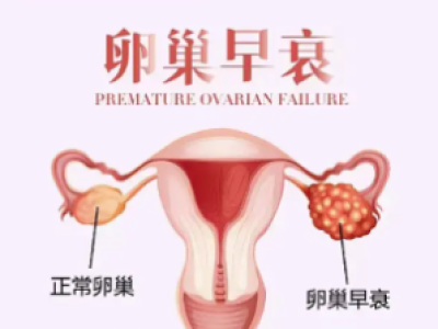 为什么越来越多人开始关注卵巢抗衰？