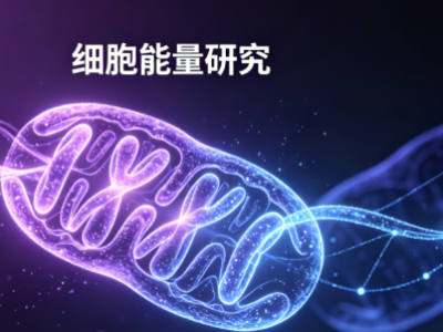 NAD+：人体细胞核心辅酶，开启科学抗衰新方式
