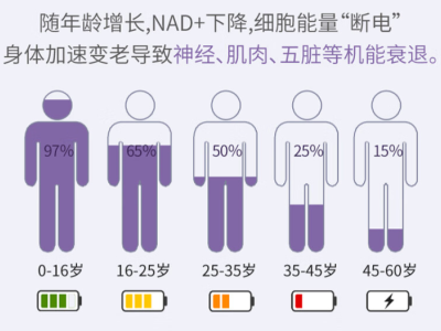 解析NAD临床运用：细胞辅酶的潜力与局限