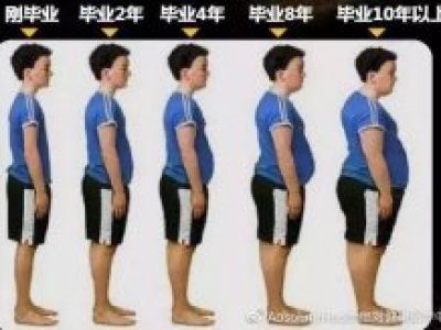 肥胖影响智力和免疫系统