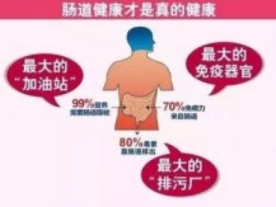 测测你的肠道健康吗？排毒才是“肠”久之计！