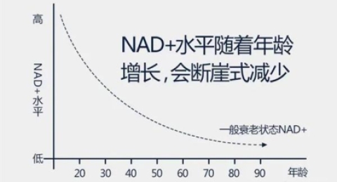泰国NAD+输液后身体的真实反应