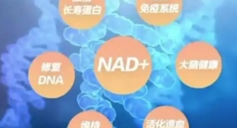 状态差、易疲惫？NAD+和精神状态有关？