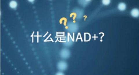年轻人也可能缺NAD+？