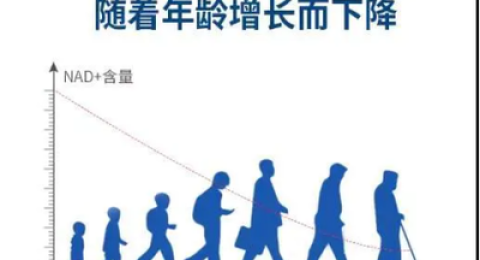 NAD+热度飙升，这几点别忽视！