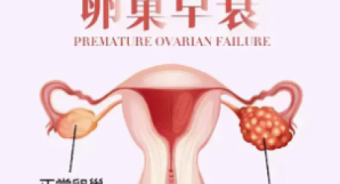 为什么越来越多人开始关注卵巢抗衰？