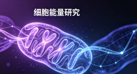 NAD+：人体细胞核心辅酶，开启科学抗衰新方式